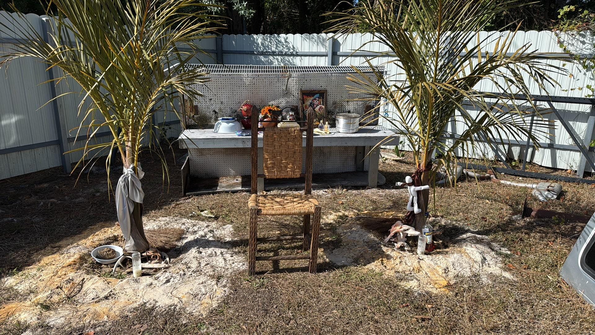 Spirit Tree Money Ritual